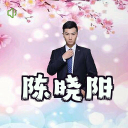 陈晓阳
