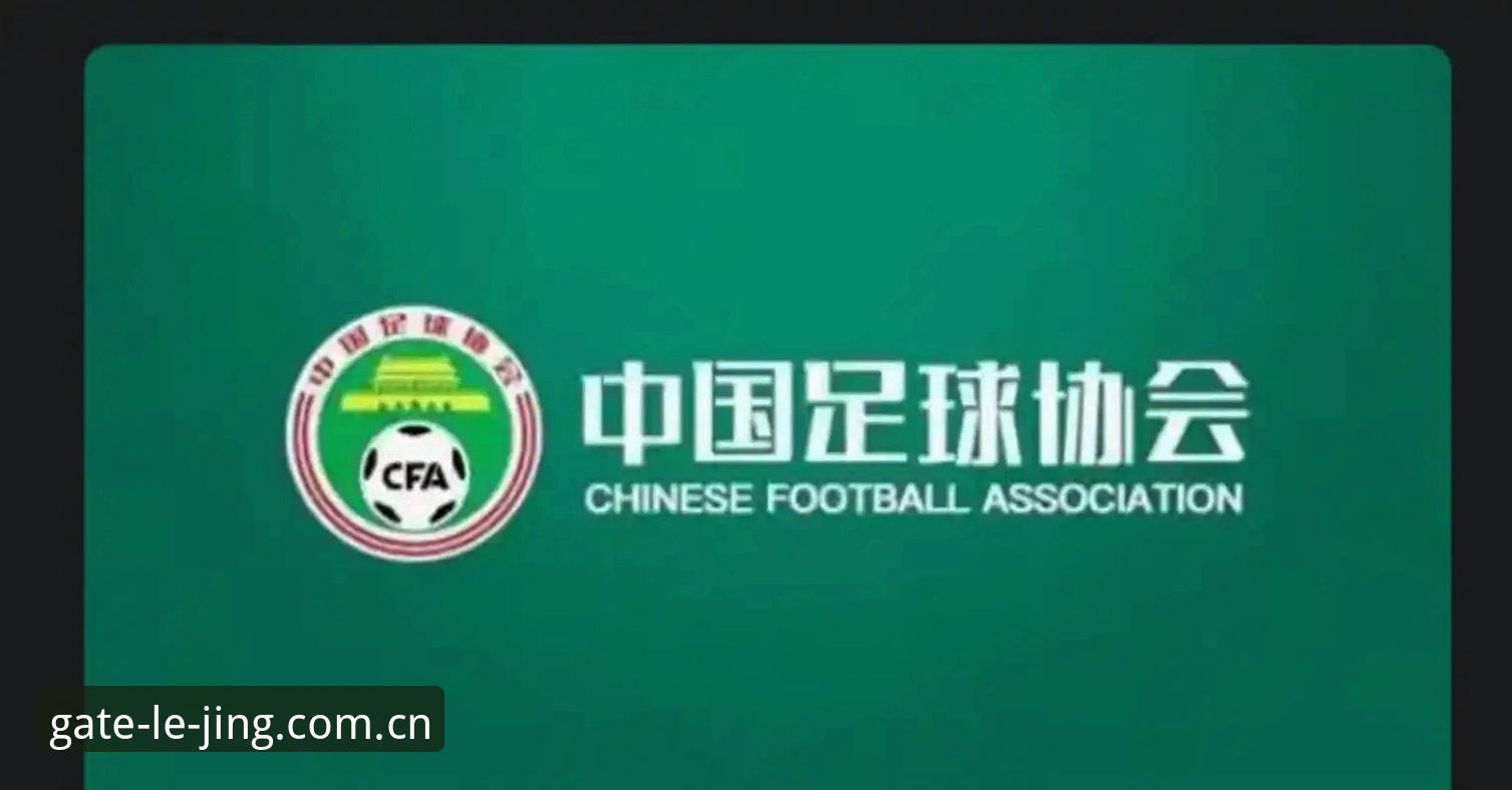 足球反腐风暴实用指南：如何从足协禁足名单看行业整顿信号